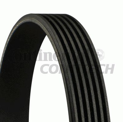 Купить запчасть CONTITECH - 6PK1570 