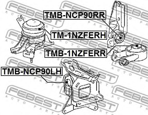 Купить запчасть FEBEST - TMBNCP90RR 