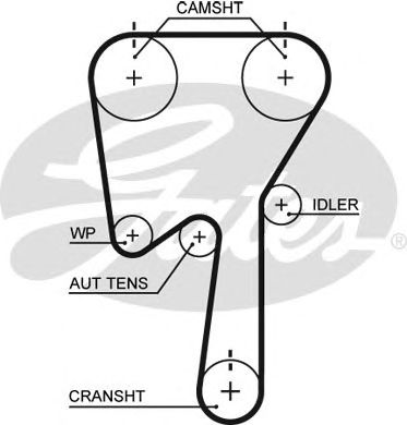 Купить запчасть GATES - 5509XS 