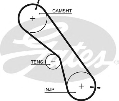 Купить запчасть GATES - 5560XS 