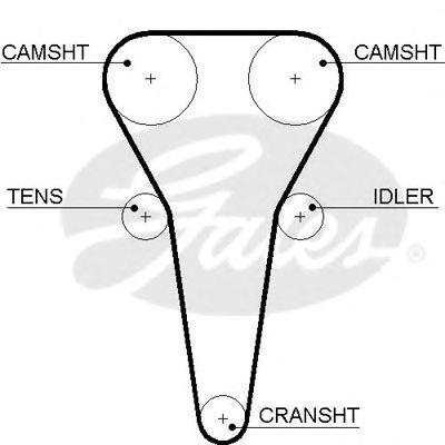 Купить запчасть GATES - 5567XS 