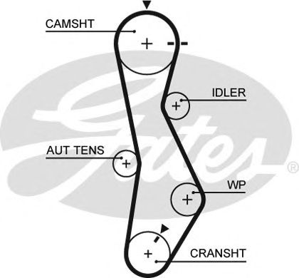 Купить запчасть GATES - 5579XS 
