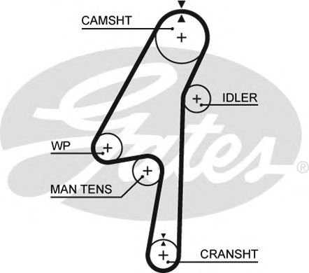 Купить запчасть GATES - 5580XS 