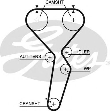Купить запчасть GATES - 5585XS 