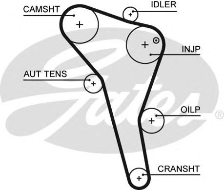 Купить запчасть GATES - 5622XS 