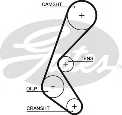 Купить запчасть GATES - 5628XS 