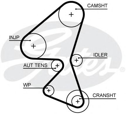 Купить запчасть GATES - 5656XS 