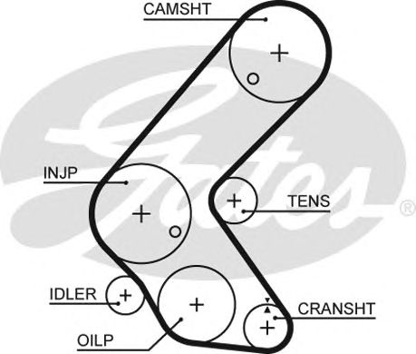 Купить запчасть GATES - 5679XS 