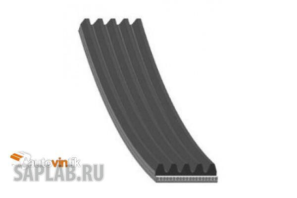 Купить запчасть GATES - 5PK885 